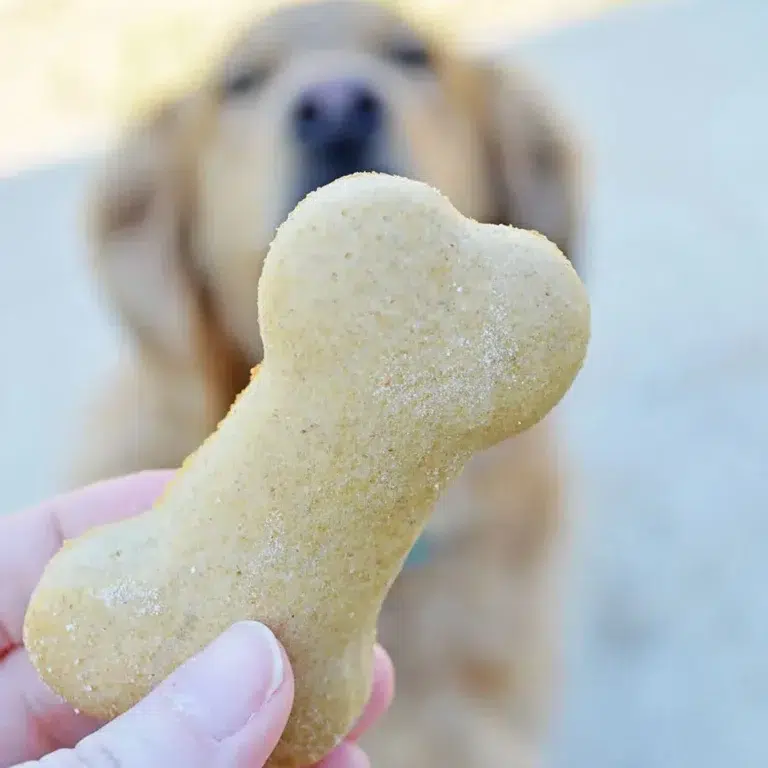 Homemade Dog Treats