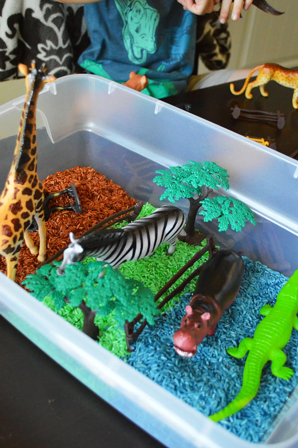 Zoo Safari Sensory Bin Idea