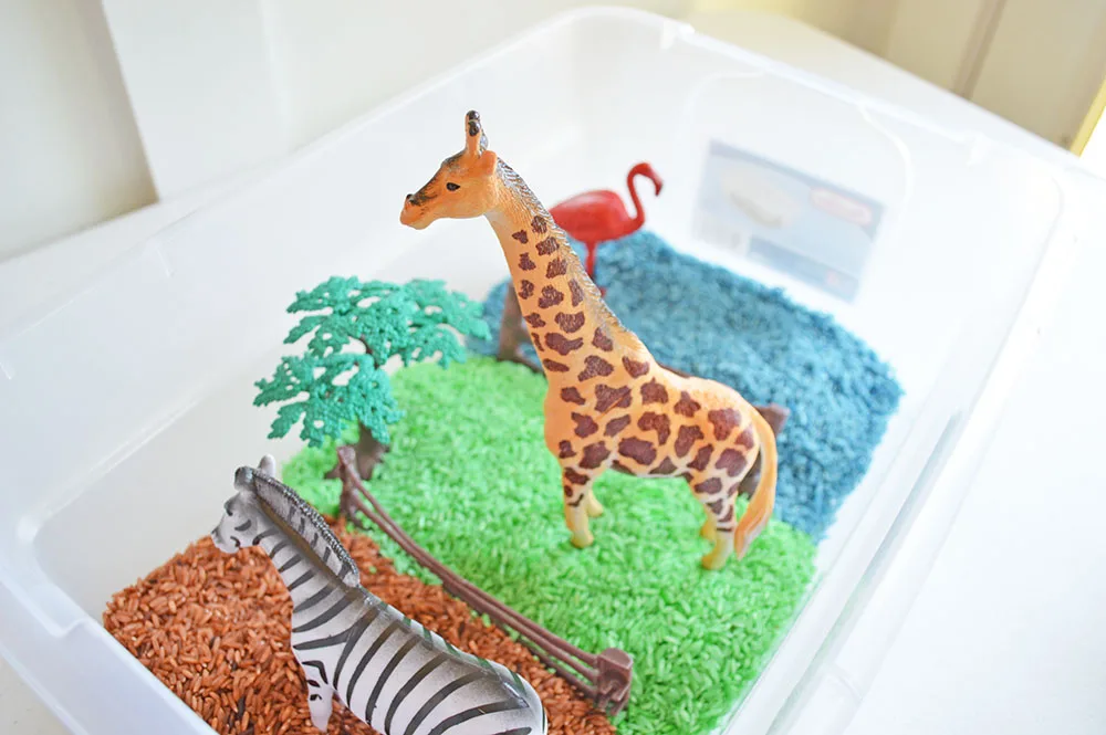 Zoo Safari Sensory Bin Idea