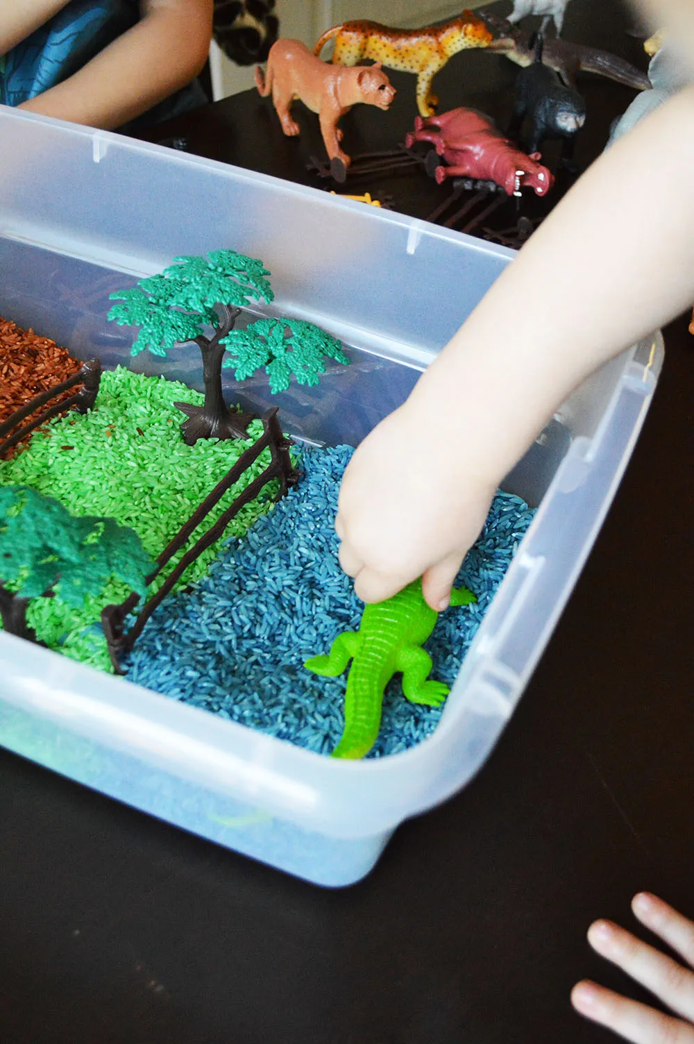 Zoo Safari Sensory Bin Idea